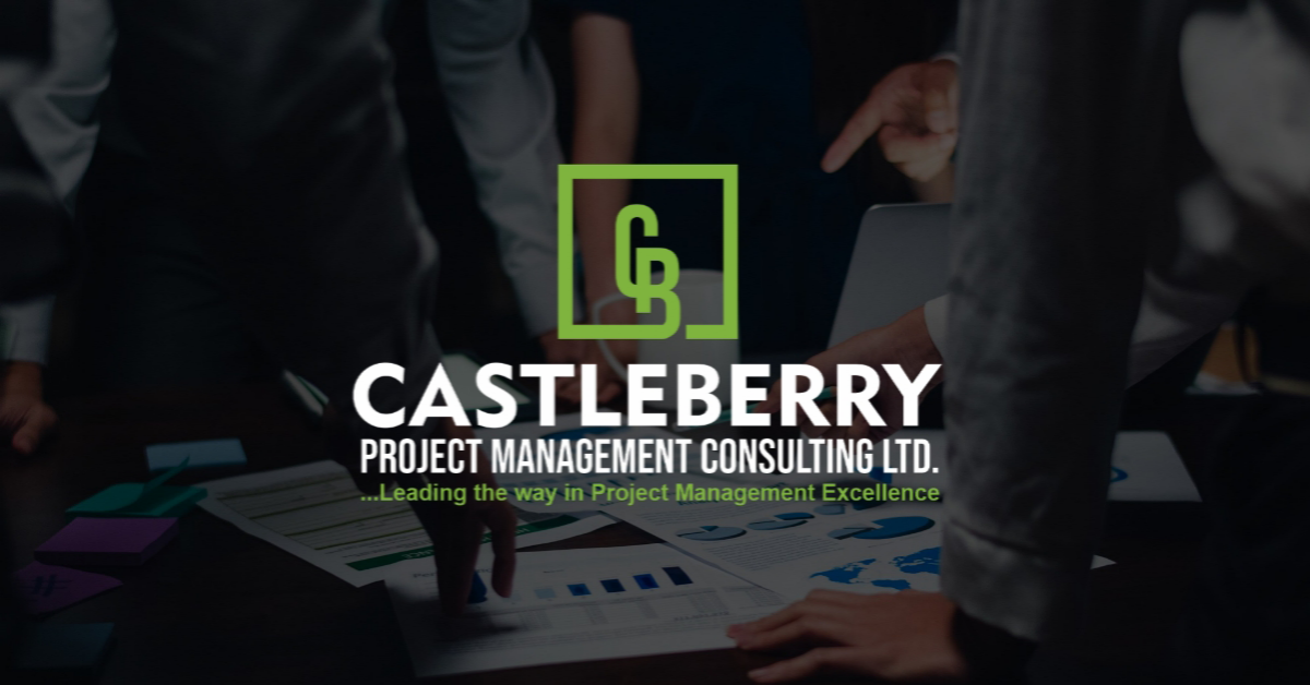Project Management Consulting in Abuja | Castleberry PM Consult